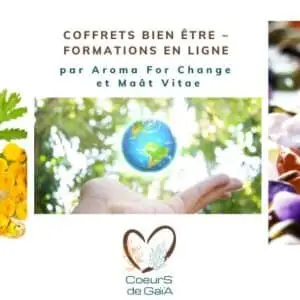 Formation en ligne Coeurs de Gaïa : huiles essentielles et pierres naturelles